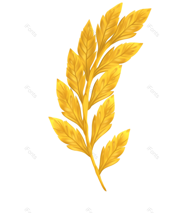 叶子图片,元素元素,卡通PNG,插画免抠素材
